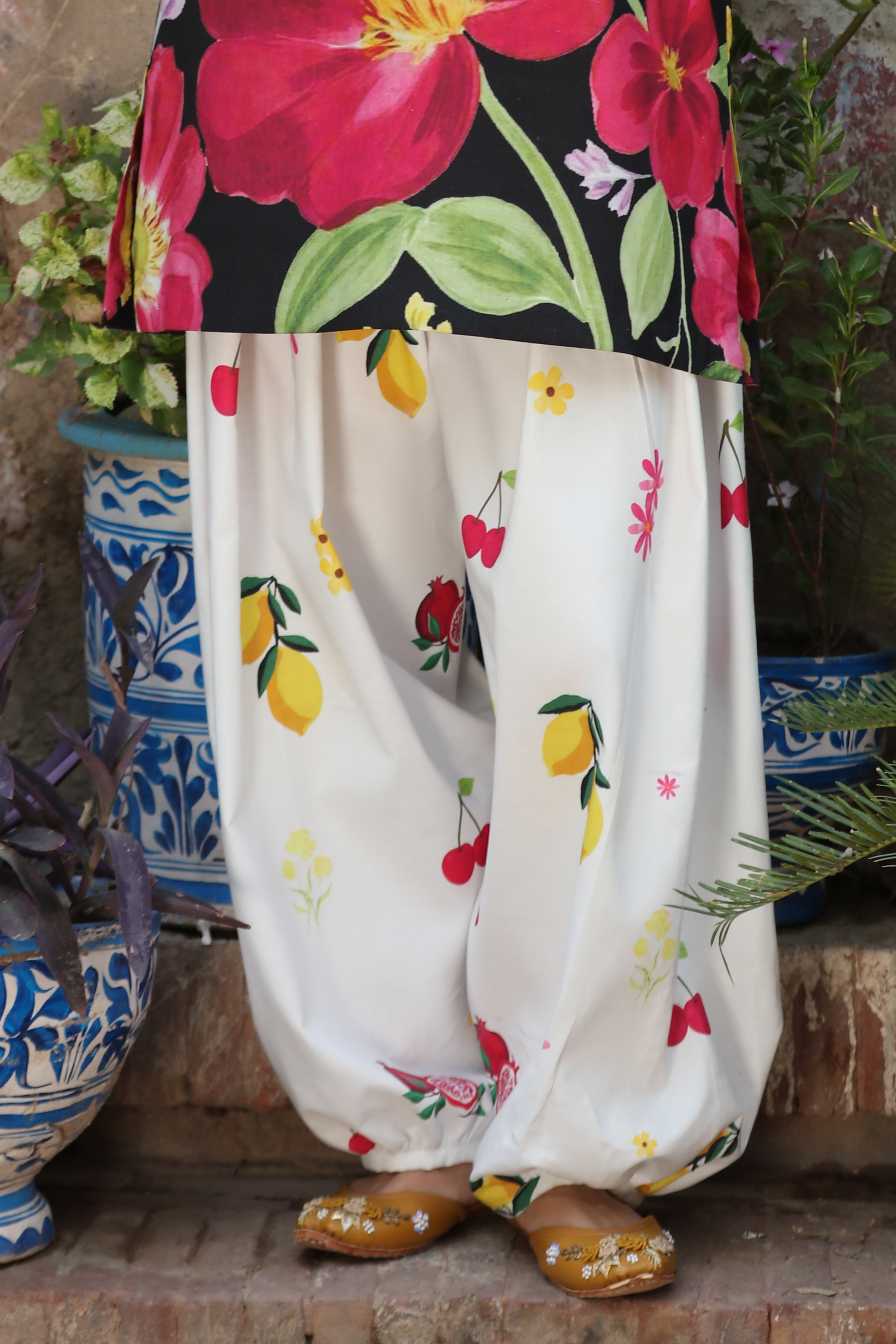 Tropic Contrasts